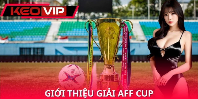 Định nghĩa giải đấu AFF Cup